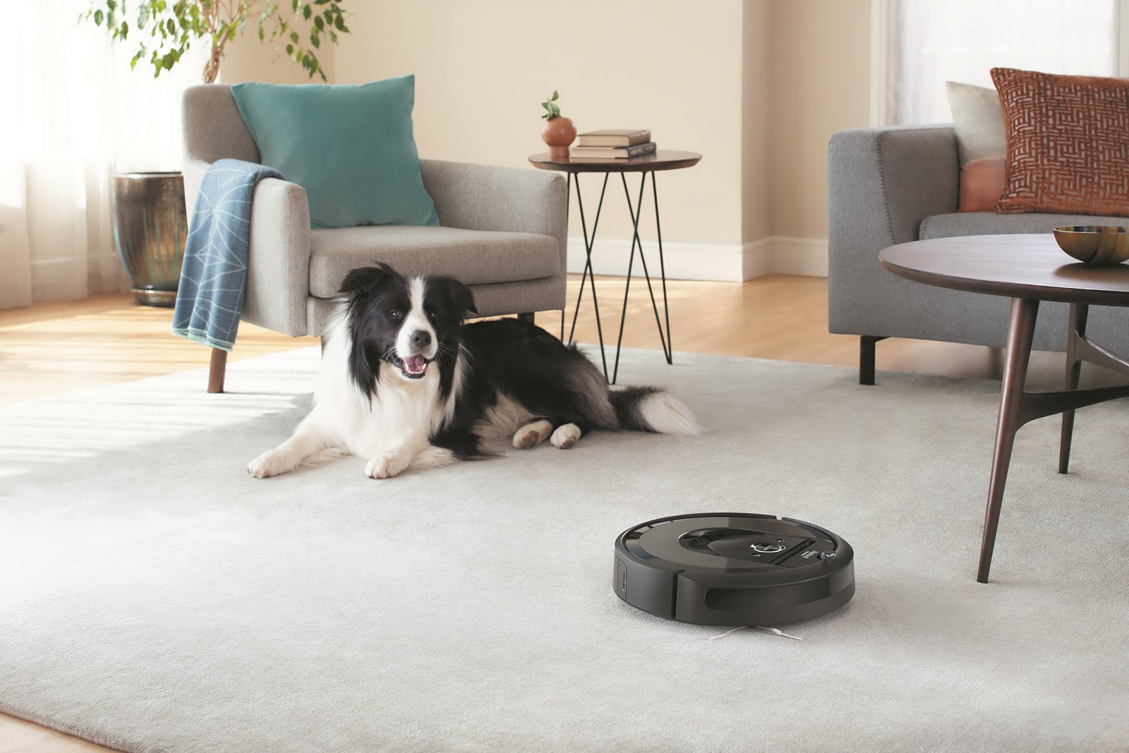 The best robot vacuums for 2024 The Hollywood Premiere